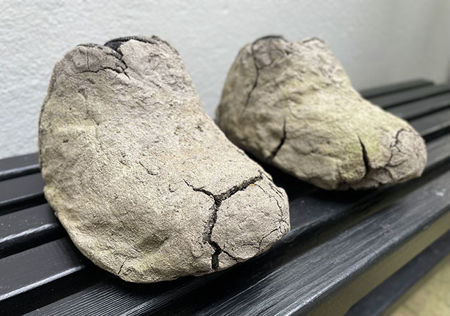 I've been everywhere - mud shoes